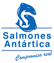 Salmones